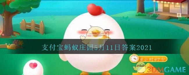 CNN直播争论信中国还是信特朗普