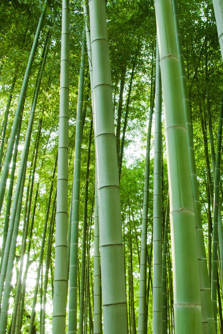 科考队员溶洞失联69小时奇迹生还